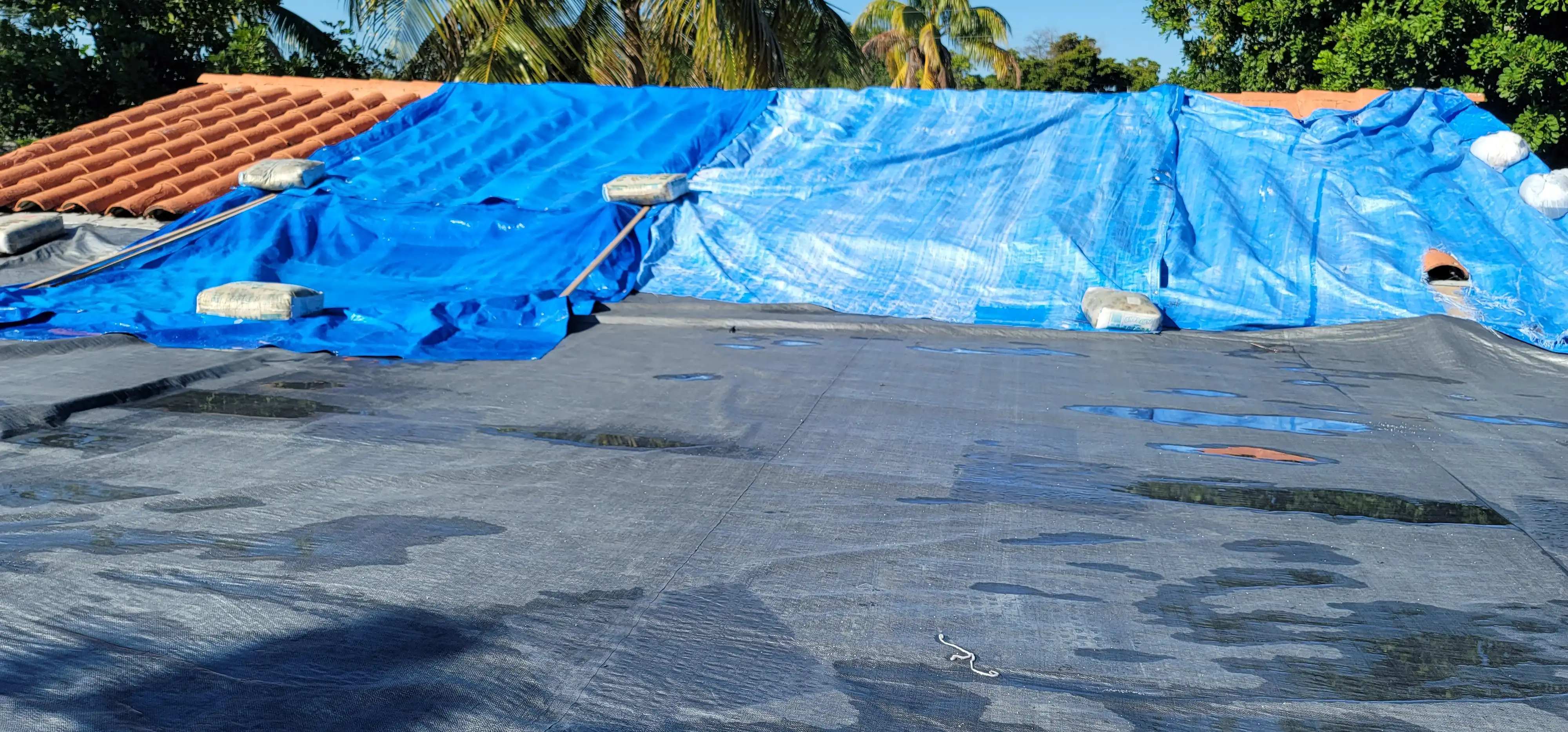 Weathered residential roof with temporary active tarp in Fort Lauderdale before repair
